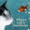 Where Cats Meditate