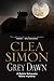 Grey Dawn (Dulcie Schwartz, #6)
