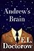 Andrew's Brain