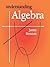 Understanding Algebra
