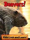 Beavers! Learn Ab...