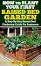 How To Plant Your First Raised Bed Garden