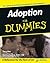 Adoption For Dummies
