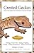 Crested Geckos: From the Experts at Advanced Vivarium Systems