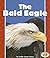 The Bald Eagle (Pull Ahead Books ― American Symbols)