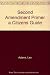 The Second Amendment Primer by Les Adams