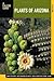 Plants of Arizona