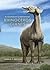 Rhinoceros Giants: The Paleobiology of Indricotheres (Life of the Past)