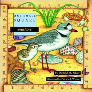 Seashore (One Small Square)