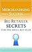 Merchandising Success: Big Retailer Secrets for the Small Retailer