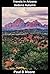 Travels In Arizona - Sedona Autumn