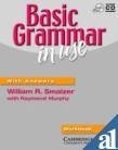 Basic Grammar in Use Workbook (Paperback)