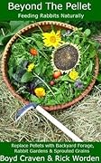 Beyond The Pellet
