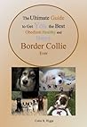 The Ultimate Guide to Get The Best Obedient Healthy and Happy Border Collie Ever