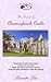 The Secret of Clonmagleesch Castle (Lavender Series Book 1)