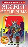 Secret of the Ninja