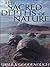 The Sacred Depths of Nature