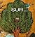 Sufi: Expressions of the My...