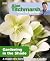 Alan Titchmarsh How to Garden by Alan Titchmarsh