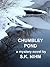 Chumbley Pond: a mystery novel