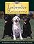 The Labrador Retriever  by Steve  Smith