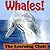 Wild Whales! Learn About Whales And Learn To Read - The Learning Club! (45+ Photos of Whales)