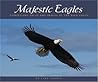 Majestic Eagles: Compelling Facts and Images of the Bald Eagle (Wildlife Appreciation)