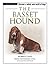 The Basset Hound (Terra-Nova)