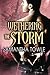 Wethering the Storm (The St...
