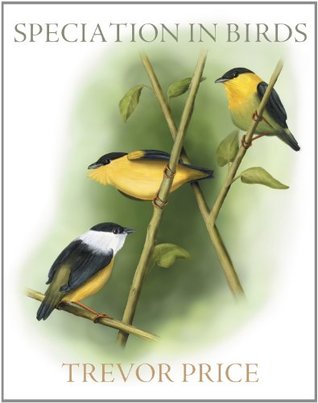 Speciation in Birds (Paperback)