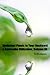 Medicinal Plants to Your Backyard & Ayurvedic Utilization. Volume III