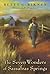 The Seven Wonders of Sassafras Springs by Betty G. Birney