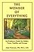 The Wonder of Everything by Amy Peterson
