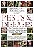 American Horticultural Society Pests and Diseases by Pippa Greenwood