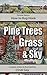 How to Rug Hook Pine Trees, Grass and Sky (Pictorial Basics Book 1)