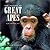 The Nature of Great Apes (Greystone Nature)