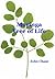 Moringa Tree of Life