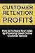Customers Retention Profits: How to Increase Your Sales By Providing Great Online Customer Service