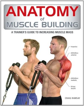 Anatomy of Muscle Building: A Trainer's Guide to Increasing Muscle Mass (Paperback)
