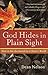 God Hides in Plain Sight: How to See the Sacred in a Chaotic World