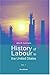 History of Labour in the United States, Volume 1
