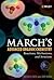 March's Advanced Organic Chemistry by Michael B.  Smith