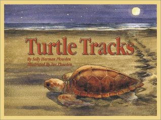 Turtle Tracks (Hardcover)