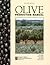 Olive Production Manual by G. Steven Sibbett