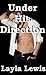 Under His Direction (an alpha male BDSM romantic erotica)
