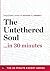 The Untethered Soul in 30 M...