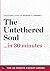 The Untethered Soul in 30 Minutes: The Expert Guide to Michael A. Singer's Critically Acclaimed Book (30 Minute Expert)