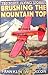 Brushing the Mountain Top (Ted Scott Flying Stories, #17)