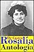 Colección Rosalía de Castro (Cantares gallegos, La hija del mar, Flavio, Ruinas, El primer loco, Un hombre y una musa, El caballero de las botas azules, poemas y cartas)