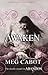Awaken (Abandon, #3)